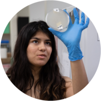 A female student wearing a rubber glove holds a petri dish and examines a lab sample.